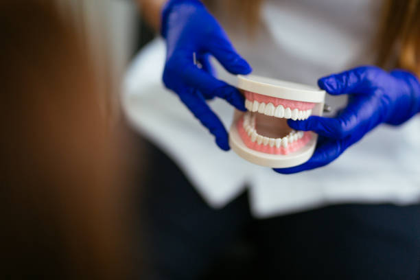 Professional Holistic Dental Care Services in Elk Plain, WA